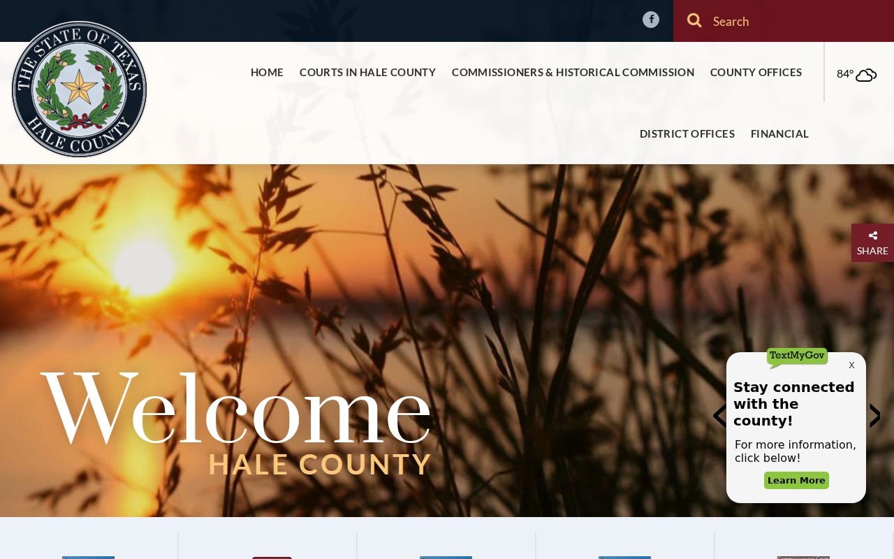Hale County homepage with civil and criminal public access link